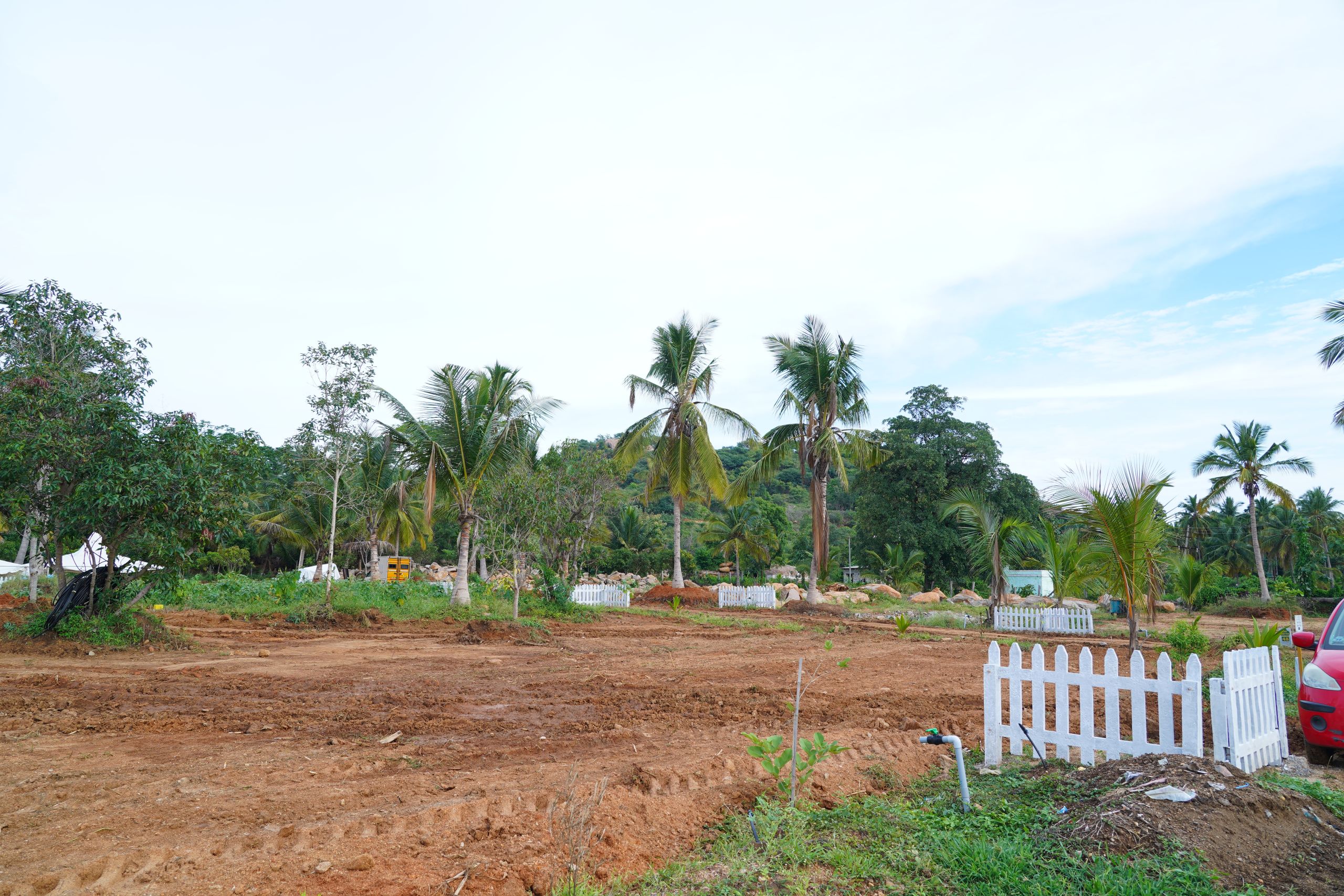DSC07910