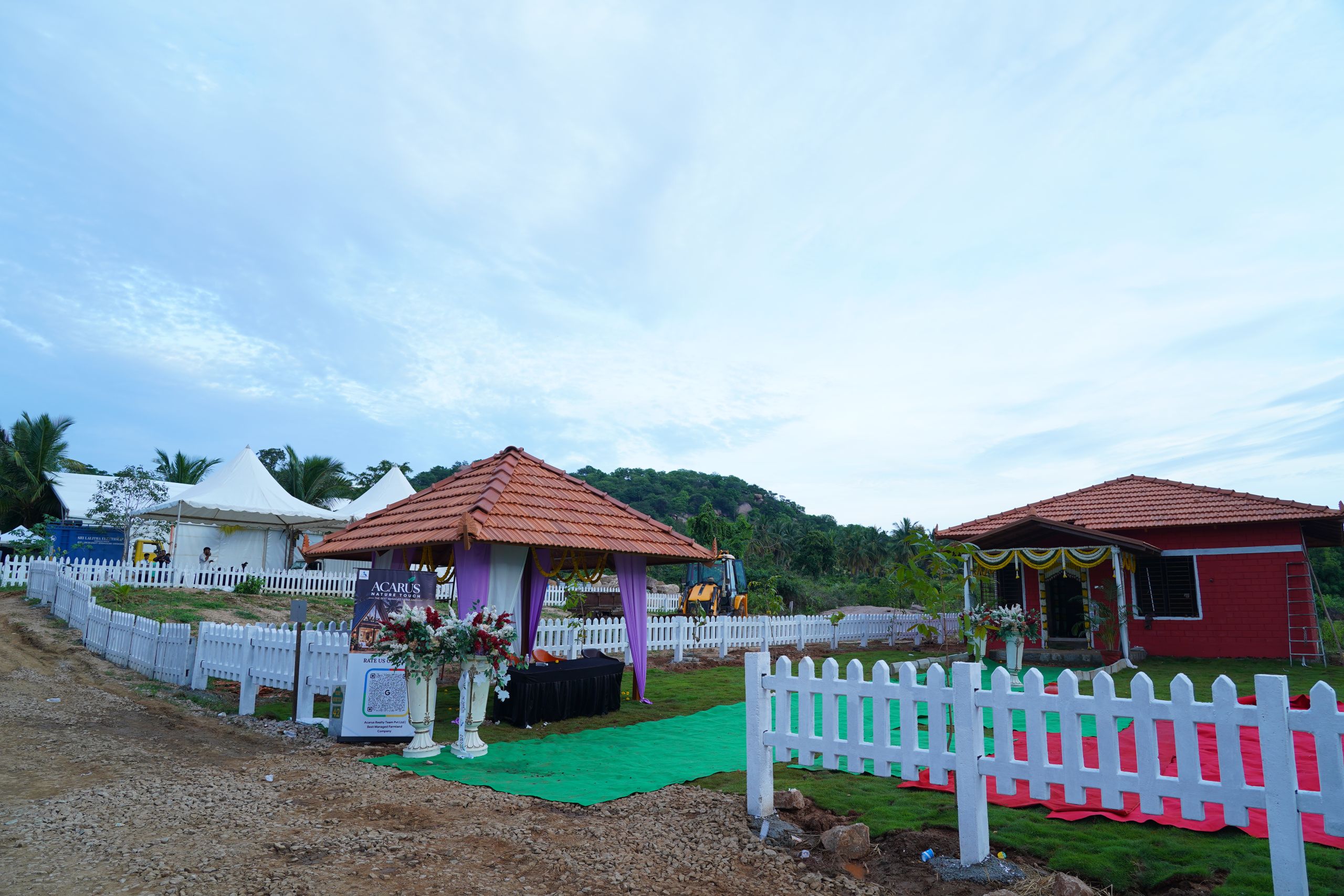 DSC07949 (1)